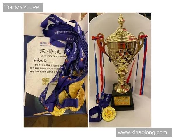 杭州羽毛球队与南京羽毛球队赛后复盘团队协作的成功与不足分析