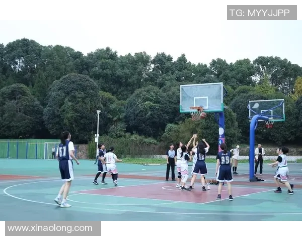 武汉篮球队在精英赛中的表现分析与状态评估 武汉篮球队在精英赛中的表现分析与状态评估