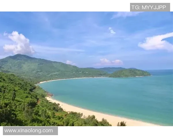 西安篮球队的奋斗历程与杯赛荣耀背后的成长故事