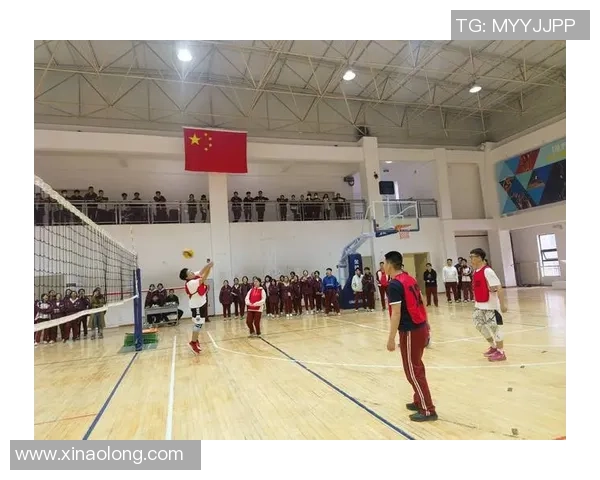 赛后分析:西安排球队与南京排球队的战术意识与表现对比