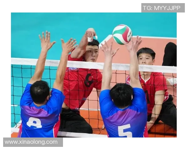 排球深度：解密上海排球队的运营
