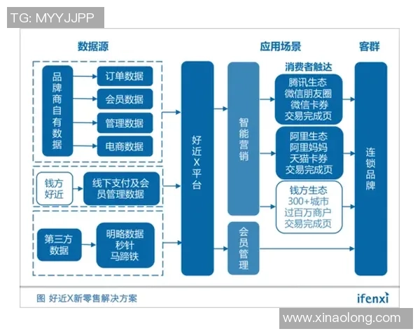 数据分析:西安飞盘队的灵活性表现