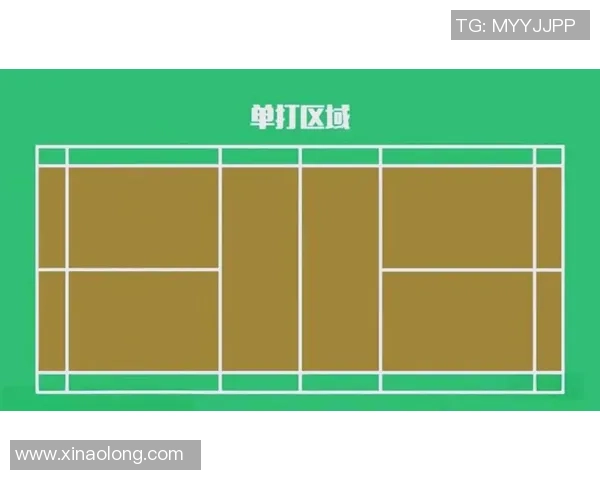 羽毛球新手攻略：技术入门指南