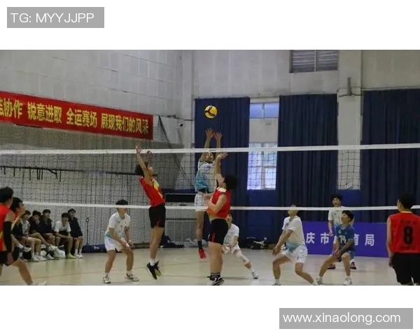 排球热议：重庆排球队的个人能力争议