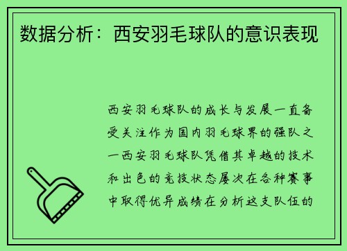 数据分析：西安羽毛球队的意识表现