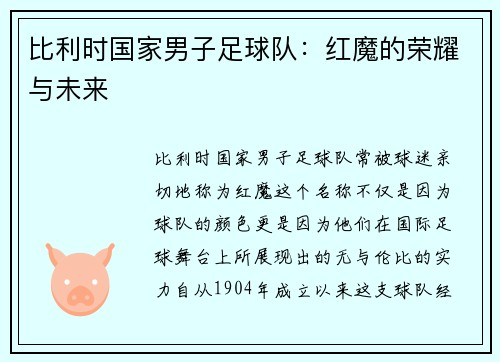 比利时国家男子足球队：红魔的荣耀与未来