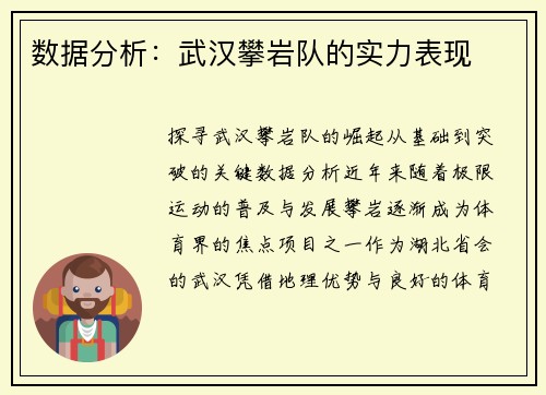 数据分析：武汉攀岩队的实力表现