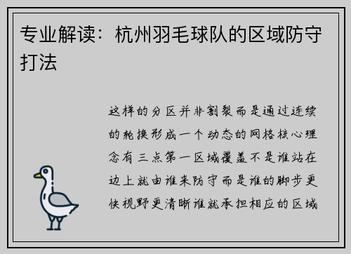专业解读：杭州羽毛球队的区域防守打法